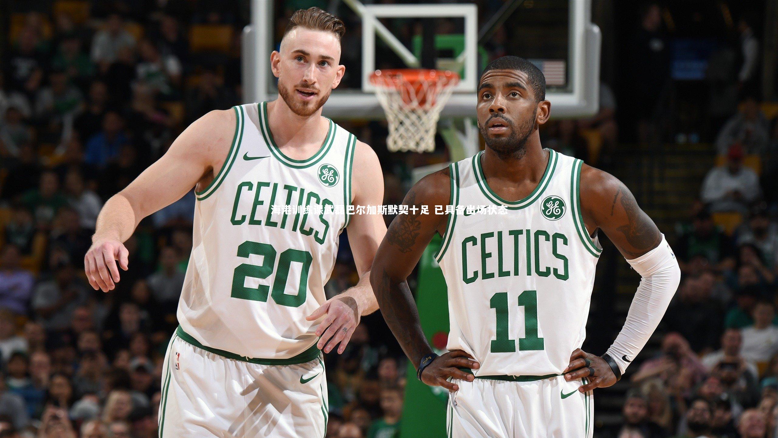 【开云体育平台】海港训练课武磊巴尔加斯默契十足 已具备出场状态